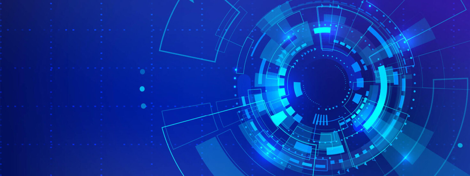 Building Digital Ecosystems