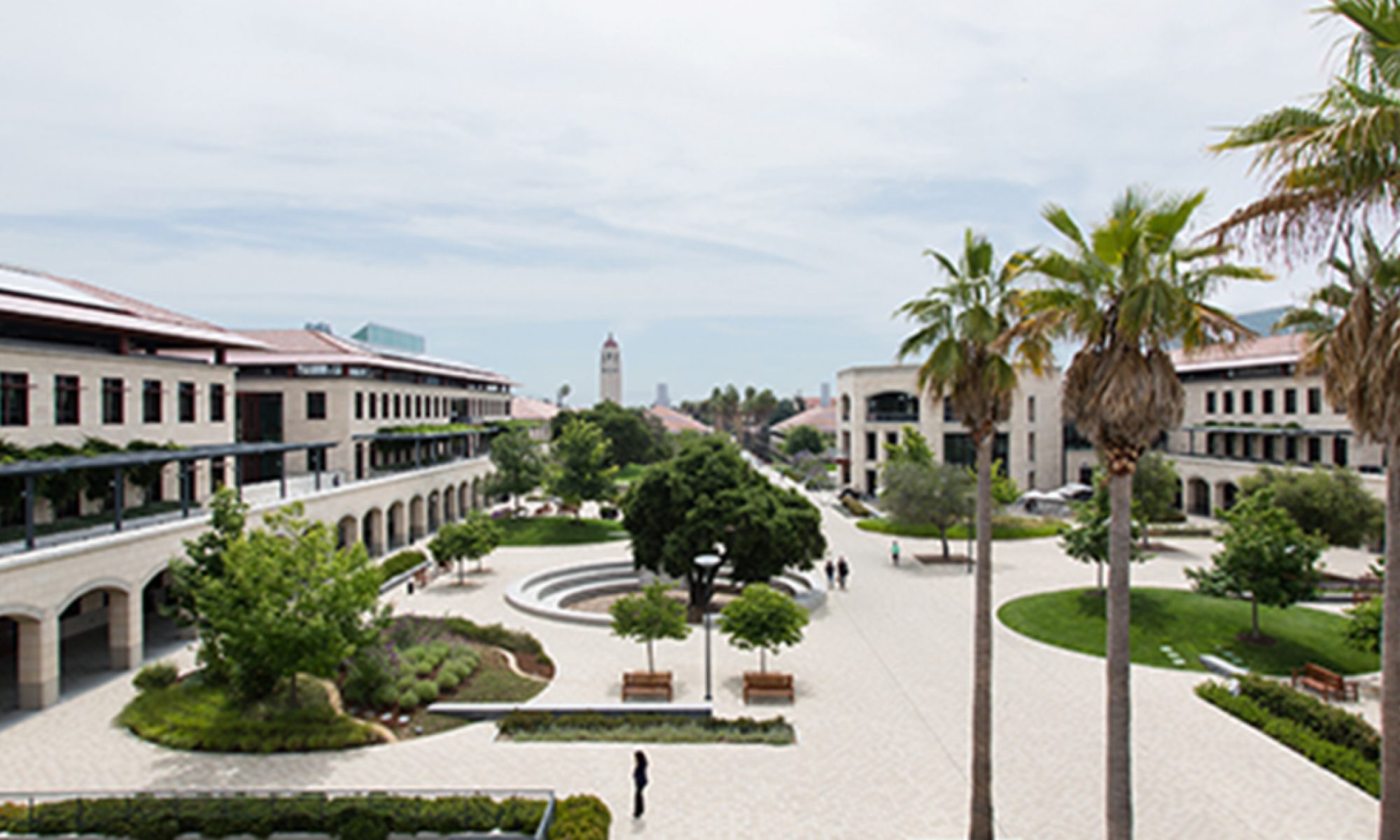 Global unicorn program in English for executives located at Stanford University Campus, USA from CKGSB