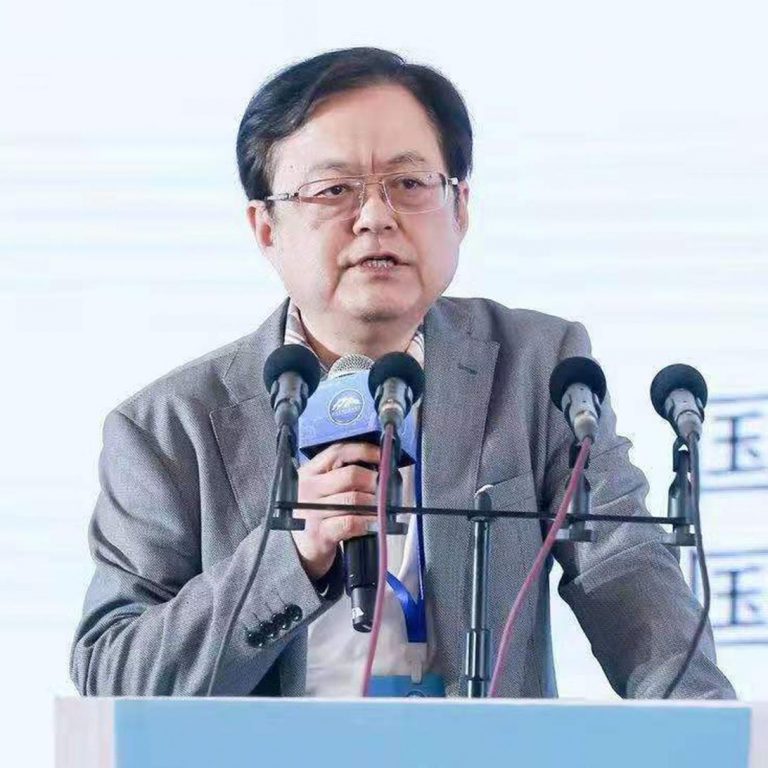 WEI Jianing